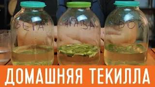 Как сделать домашнюю текилу из самогона. Имитация вкуса текиллы