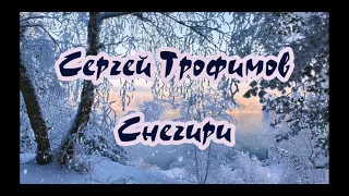 Tpoфимoв Сергей - Снегири -караоке