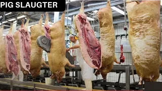 Latest Modern Pig Raising Technology-incredible Million Dollar Pig Slaughter & Processing Factory