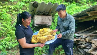 Harvest honey after 9 months of nesting. 3 large bottles of honey. Repair tractors together