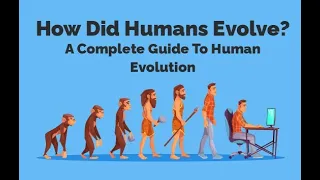550 Million years of human evolution in 40 seconds