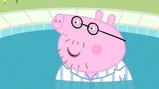 Peppa Pig Français | Peppa Pig Saison 06 Épisode 12 | Dessin Animé