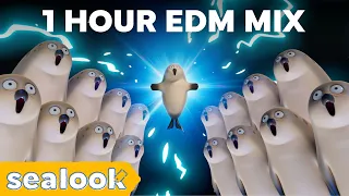 Electro-Seal  (1 Hour Loop Ver.)ㅣSEALOOKㅣEDM Compilation