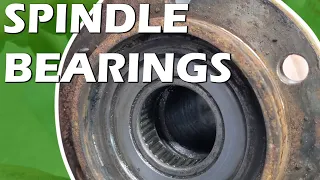 Dana 44 Spindle Bearings and Seals (True Spirit #20)