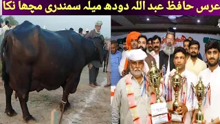 Milk Competition In Faisalabad | Hafiz Abdullaha Dhood Mela | Macha Nika Samundri | Hafiz Azhar jutt