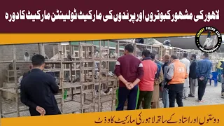 Visit to Tollinton Market Lahore | Sialkot Pigeon Club team