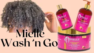 Wash 'n Go: Mielle Product Review | 4b/4c hair |