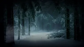 your're in snow covered deep forest, a dark academia playlist 당신은 눈이 가득 내린 깊은 숲속에 있어요