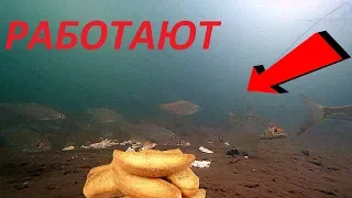 Сухари с секретом ТВОРЯТ ЧУДЕСА!!! Вот это ПРИКОРМКА! Подводная съемка