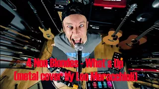 What´s Up  - 4 Non Blondes  metal (Leo Moracchioli) Cover