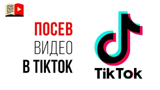 Можно ли заливать одинаковое видео на YouTube и в TikTok?