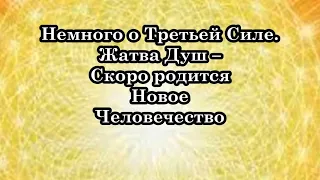 Что произойдет на планете в 2025 году?