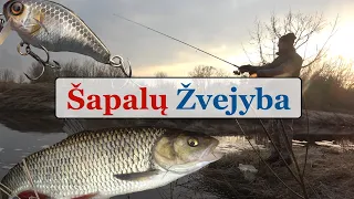 Šapalų žvejyba - Gabrielius Ser