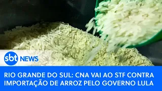 Rio Grande do Sul: CNA vai ao STF contra importação de arroz pelo governo Lula