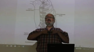 Respiratory module 19 ( thoracic wall . part 3 ) by , Dr. Wahdan