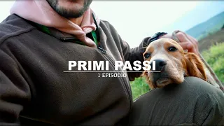 PRIMI PASSI: Come addestrare un cane da ferma partendo da zero | Episodio 1 | Setter Inglese