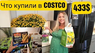 Мы их КУПИЛИ/Обзор покупок из Costco на 433$/Цены в США?/Покупки еды, одежды и товаров для дома/Влог