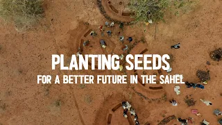 Planting Seeds for a better Future in the Sahel