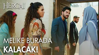 Konakta kavga! - Hercai Efsane Sahneler