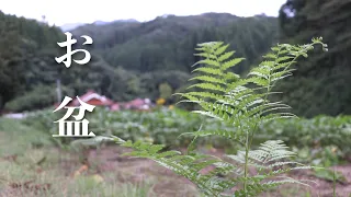 【Vlog#3】田舎のお盆はだいたいこんなじゃろ