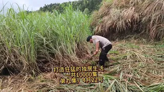 荒野建造，第九集，既然大家都这么看好我，那我就一定要鹤立鸡群