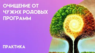 Очищение от чужих Родовых программ. Энергетическая практика