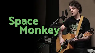 Space Monkey - Acoustic Placebo Cover