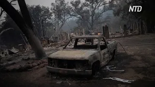 Пожары в Калифорнии: в Санта-Розе эвакуируют жителей