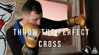 Improve Your Cross Punch Technique and Power