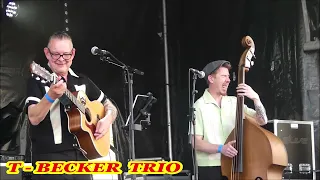 T - BECKER  TRIO - Cloud 9 -  NEW ALBUM  " Second  Round  "  CRAZY TIMES RECORDS -   Février 2023