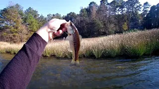 Clear Water at Plain Dealing Lake