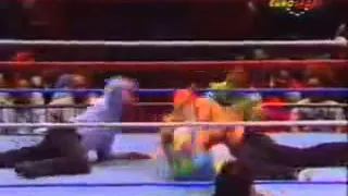 WWF   91  Shawn vs  Kato