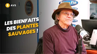 [AVS] Les bienfaits des plantes sauvages ! - François Couplan