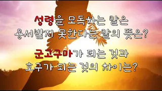 2022 07 18/ 성령을 모독하는 말은 용서받지 못한다는 말의 뜻은? 군고구마가 되는 것과 호구가 되는 것의 차이는?/ 전삼용 요셉 신부 채널 덧글 나눔