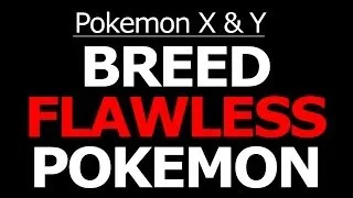 How to Breed Perfect IVs Pokemon X and Y