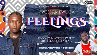 Kwesi  Amewuga Is Back With “Feelings” And It’s Ogyaaaaaa