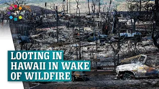Looting and violence ensues in Hawaiian wildfire aftermath