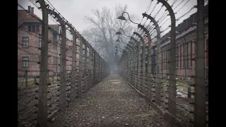 Polish Senate backs controversial Holocaust speech law