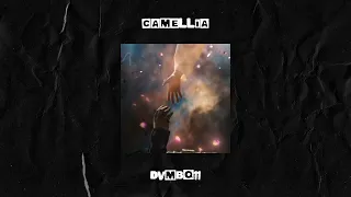 [FREE] Jah Khalib x HammAli & Navai x Ramil Type Beat - "Camellia" (prod. dvmbo11)