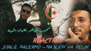 Djalil Palermo - Ma3lich Ya 9elbi (reaction) 🔥ردة فعل مغربي