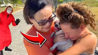 O CACHORRINHO DA Valentina Pontes SUMIU e OUTRAS HISTORIAS !!  ELA CHOROU MUITO