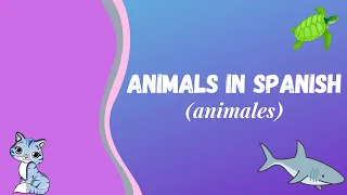 Spanish for Kids| Animals in Spanish | Animals and Pets in Spanish| Animales