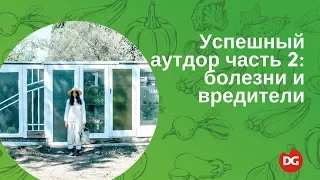 №25 Успешный аутдор. Часть 2: вредители и болезни