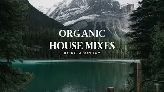 Organic House Mix #22 2023