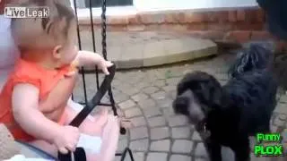 маленькие дети смеются над  собаками