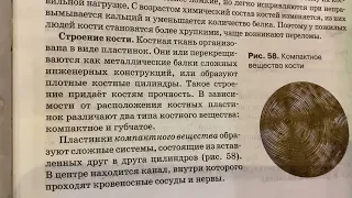 Биология 8 кл/М.Б.Жемчугова/Тема: Значение опорно-двигательного аппарата/01.11.22