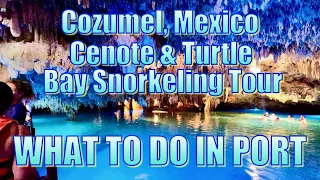 Cozumel, Mexico - Cenote and Turtles Tour - What to Do on Your Day in Port