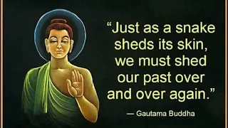 23 Gautama Buddha Quotes That Will Totally Inspire You