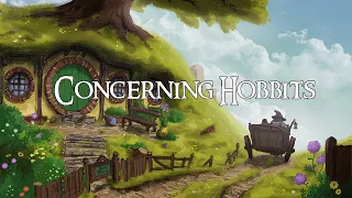 Lord Of The Rings: Concerning Hobbits 🌳 (lofi remix)