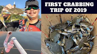 Trotline Crabbing Best 1st Crabbing Trip of 2019